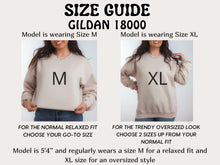 Load image into Gallery viewer, TS Albums as Books Sweatshirt