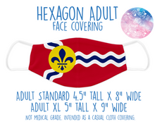 Load image into Gallery viewer, Face Covering St. Louis Flag
